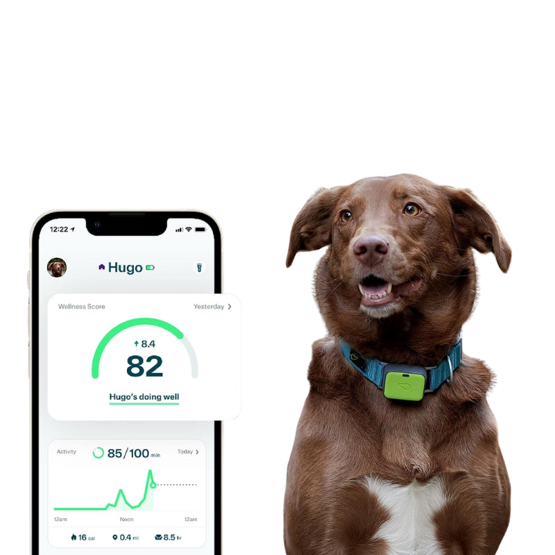 Pawtopix Pet GPS Tracker with Health Monitoring