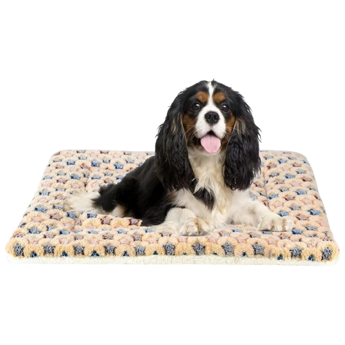 Pawtopix ultra soft dog bed crate pad - Plush Star Mat