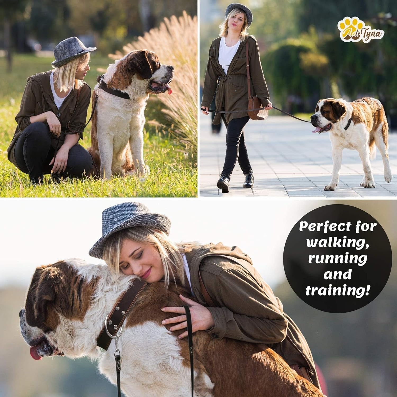 Heavy duty leather dog leash used by woman walking and training large dog outdoors