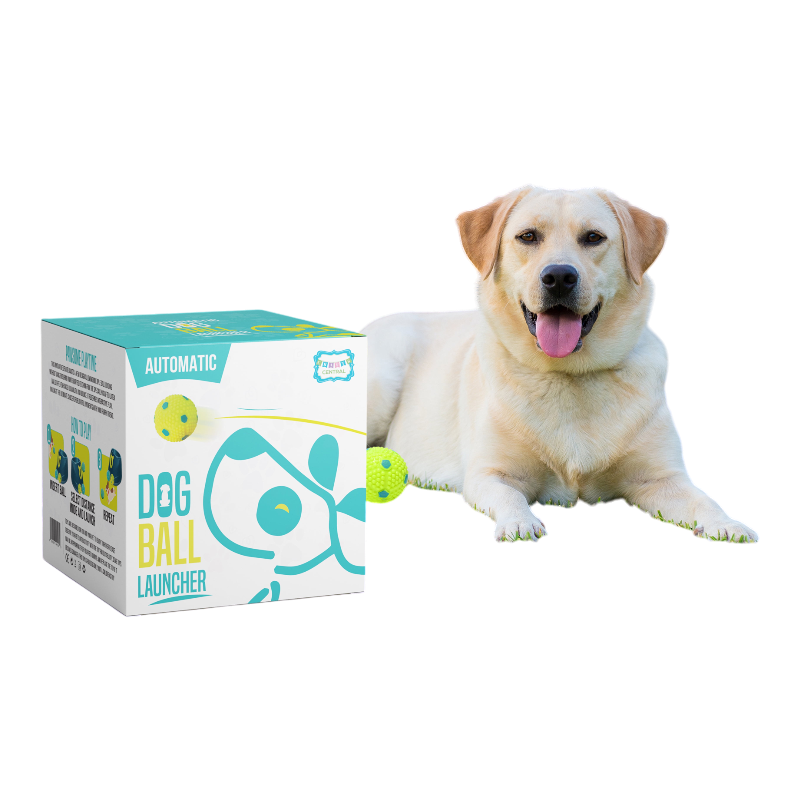 Pawtopix automatic dog ball launcher with 6 durable balls