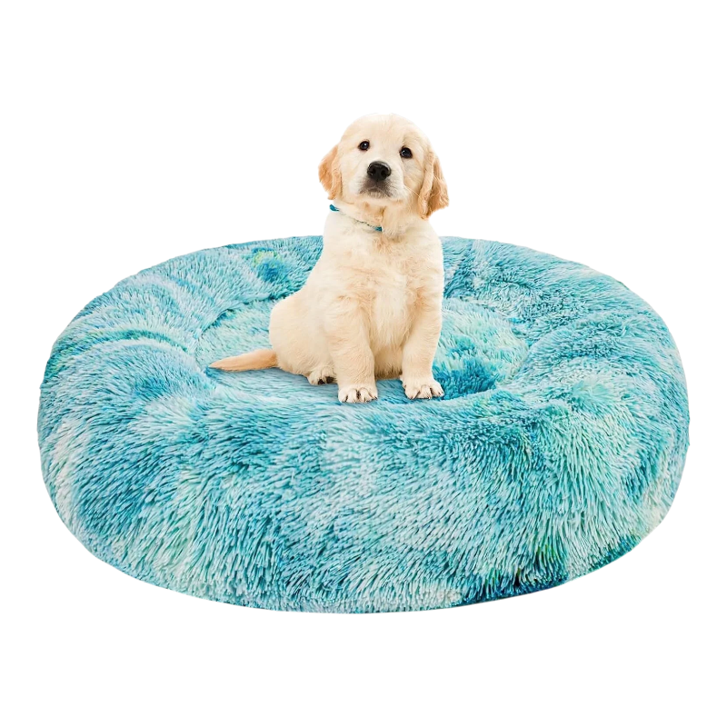 Pawtopix golden retriever puppy on teal donut anti-anxiety plush pet bed for calming comfort