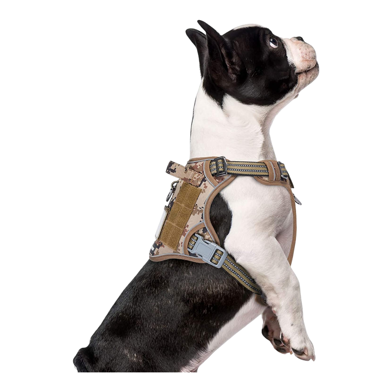 Pawtopix tactical dog harness large no pull tan camo harness with metal buckles on Boston Terrier