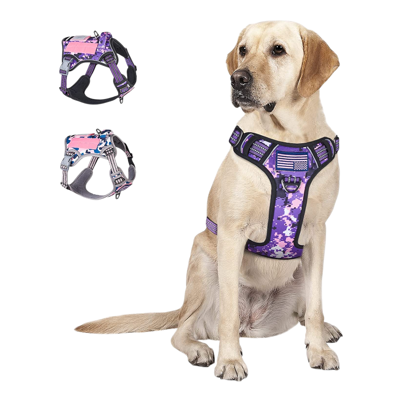 Pawtopix purple digital camo tactical dog harness large no pull worn by yellow Labrador with adjustable straps
