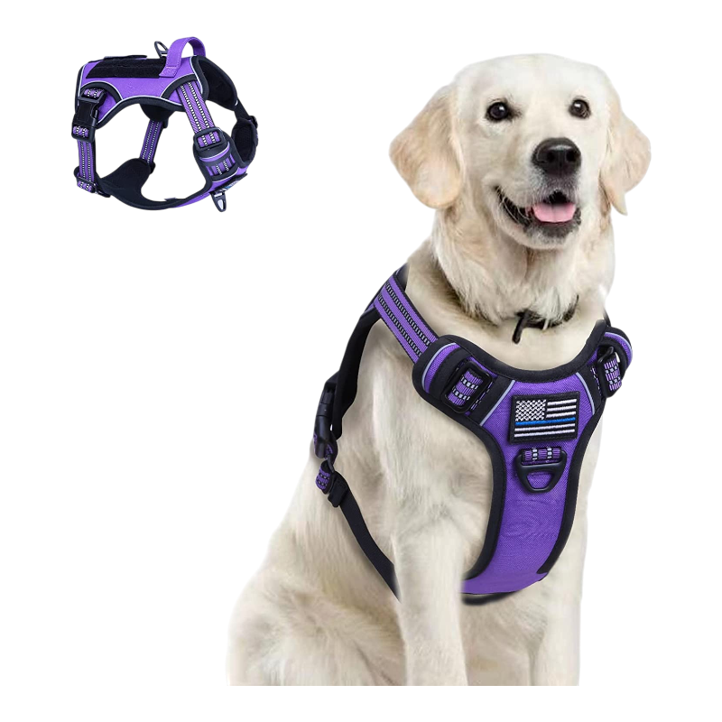 Golden retriever wearing purple tactical dog harness large no pull with flag patch and padded chest