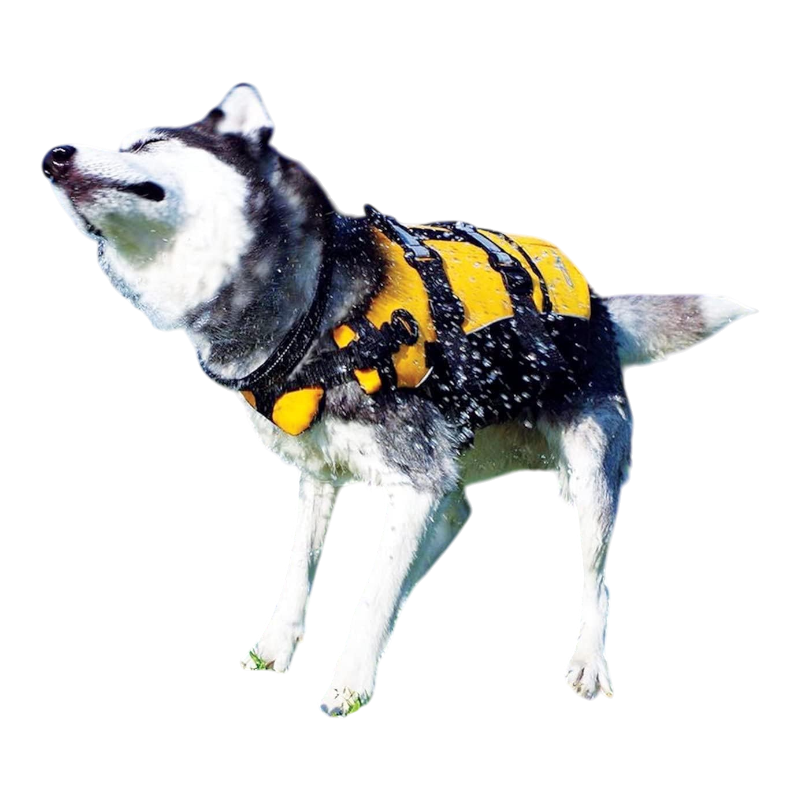 Pawtopix dog life jacket with handle - Reflective Buoyant