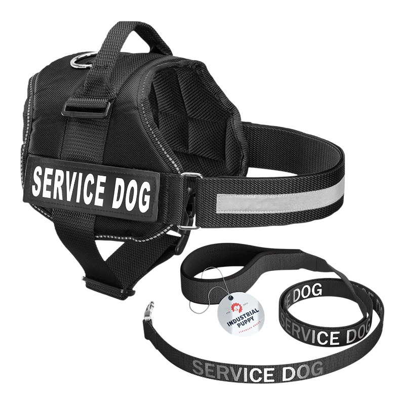 Pawtopix Pink Reflective service dog vest and leash set