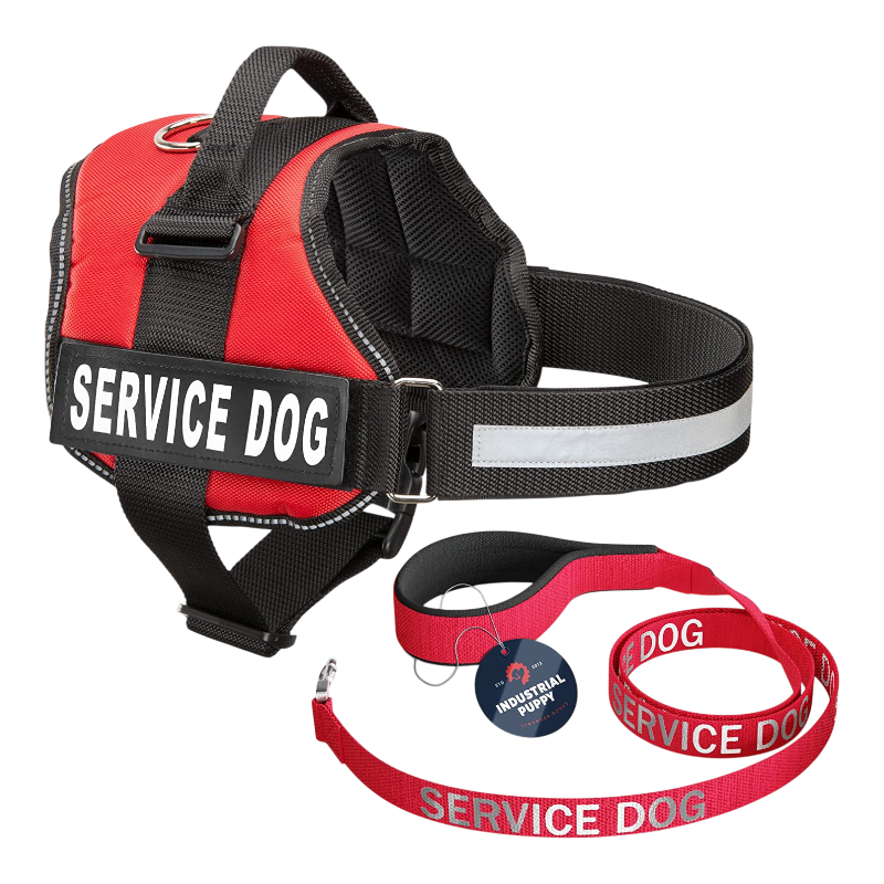 Pawtopix Pink Reflective service dog vest and leash set