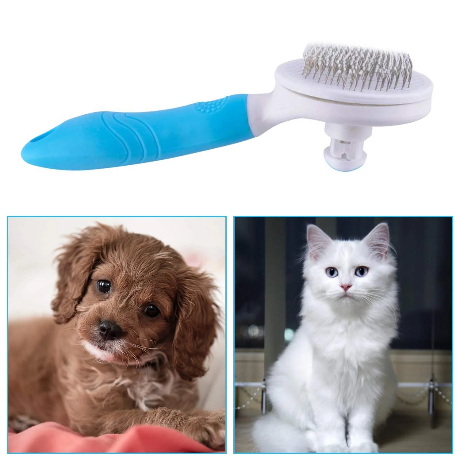 Pawtopix dog and cat slicker brush with blue handle shown with a brown puppy and a white cat