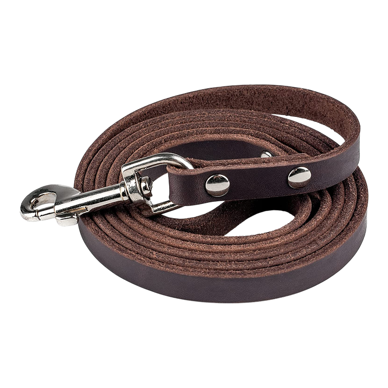 Pawtopix luxury leather dog leash in dark brown rolled design with silver snap and rivet hardware