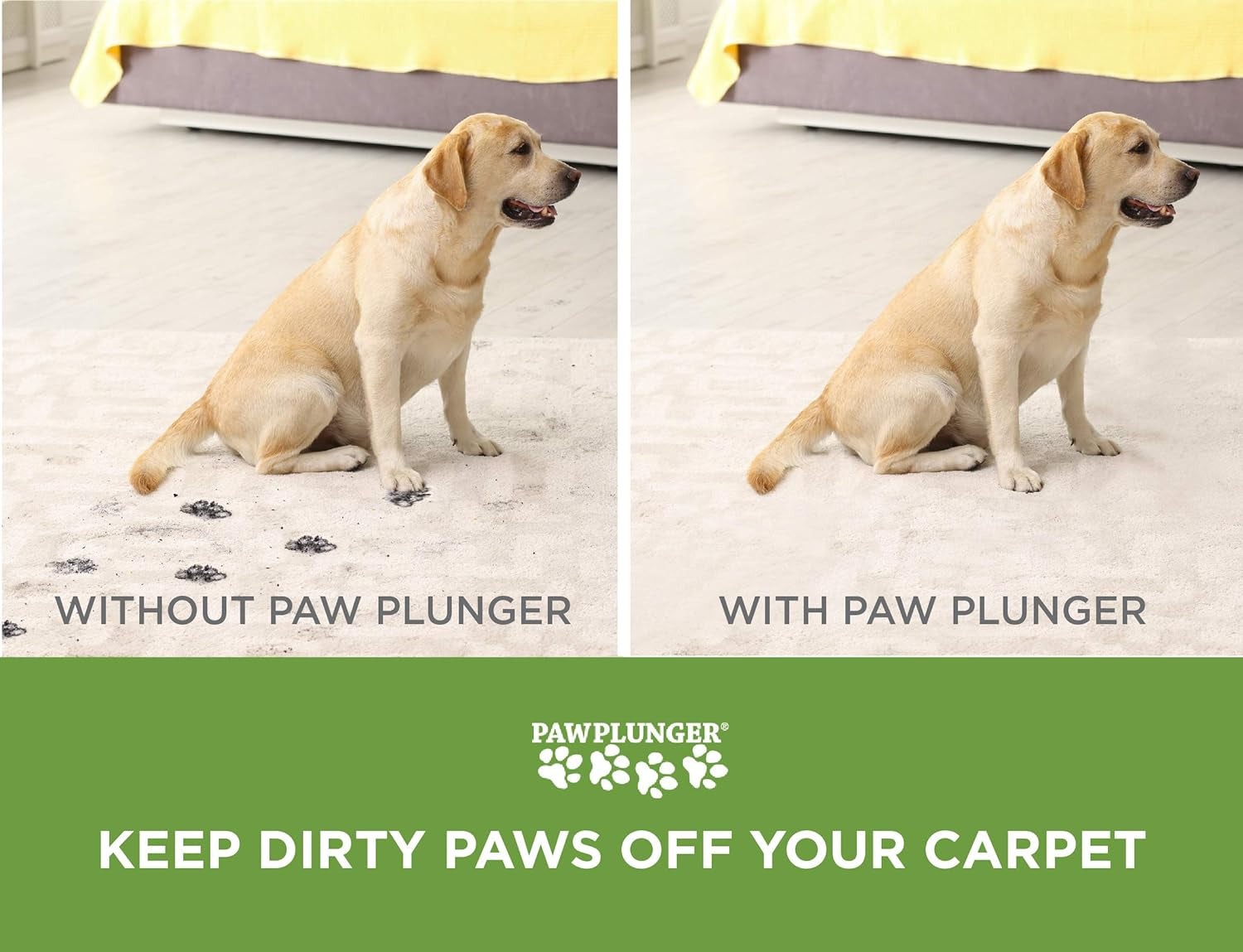 Comparison showing dog with dirty paws without and clean paws with paw plunger dog paw cleaning cup on carpet
