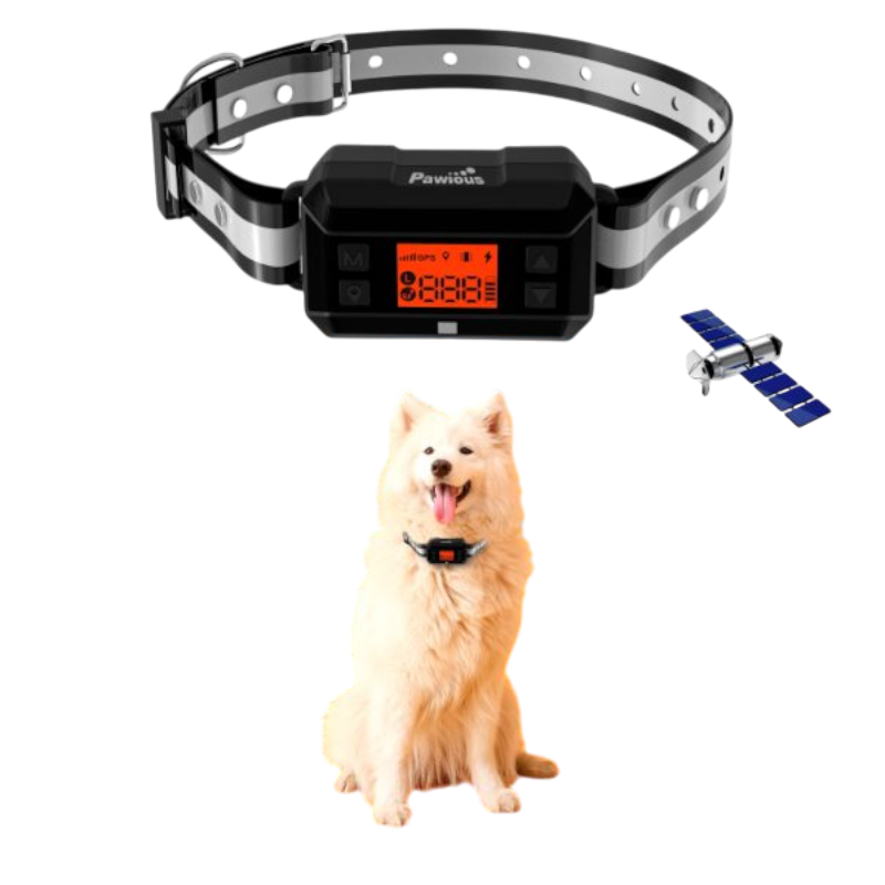 Pawtopix GPS dog fence with AI scene recognition collar shown on white fluffy dog with device display and satellite