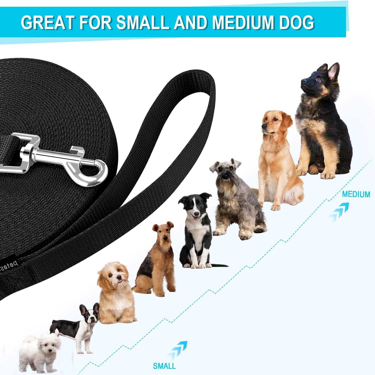 Pawtopix black nylon roll training leash for puppies and small pets shown with small and medium dog lineup