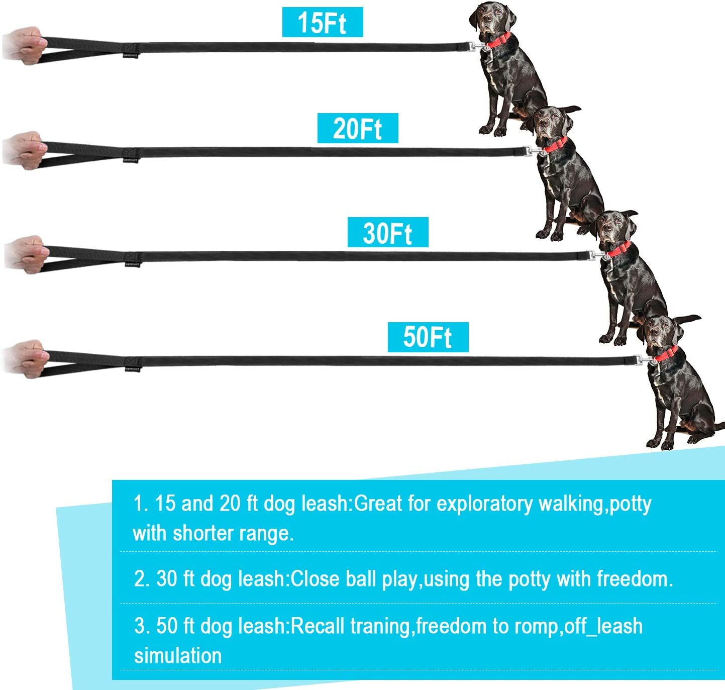 Pawtopix black long training leash for puppies and small pets showing 15ft 20ft 30ft and 50ft length options