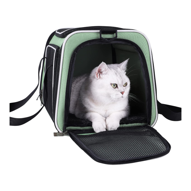 Pawtopix soft travel pet carrier bag green and black with white cat inside mesh front opening
