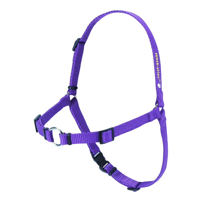 Pawtopix comfortable anti-pull dog harness, Padded