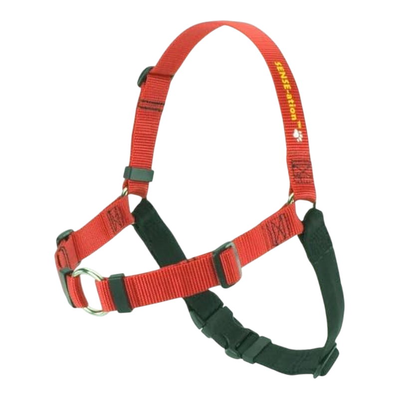 Pawtopix comfortable anti-pull dog harness, Padded