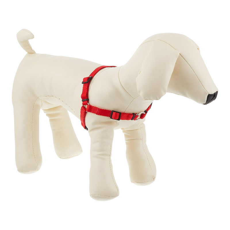 Pawtopix comfortable anti-pull dog harness, Padded