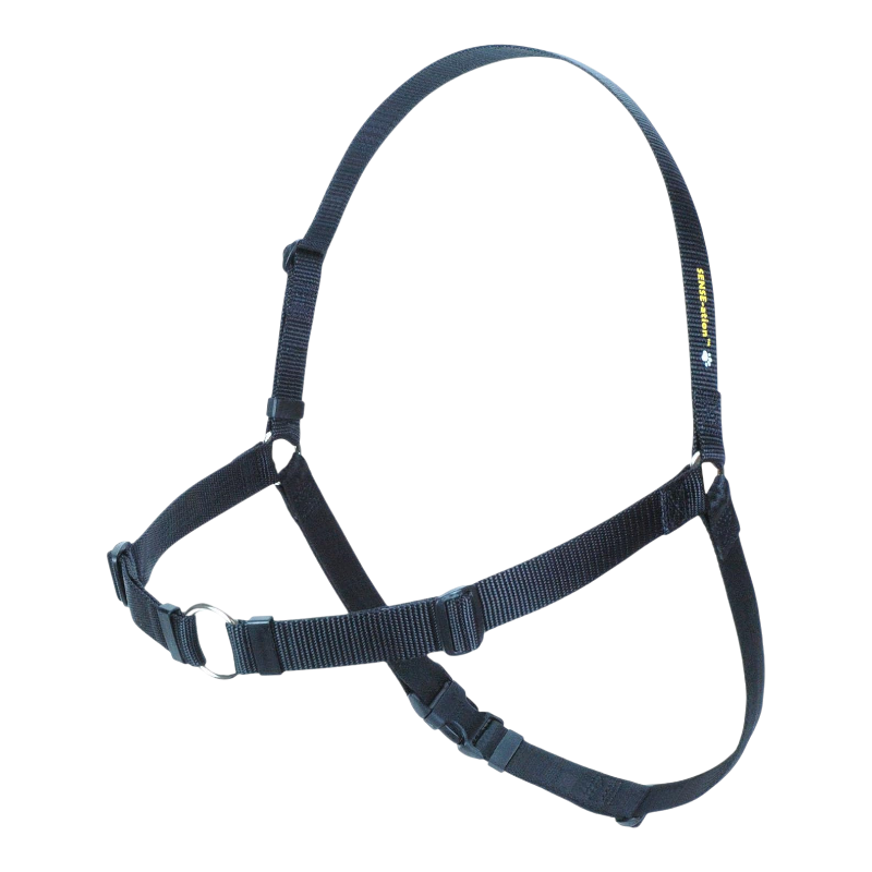 Pawtopix comfortable anti-pull dog harness, Padded