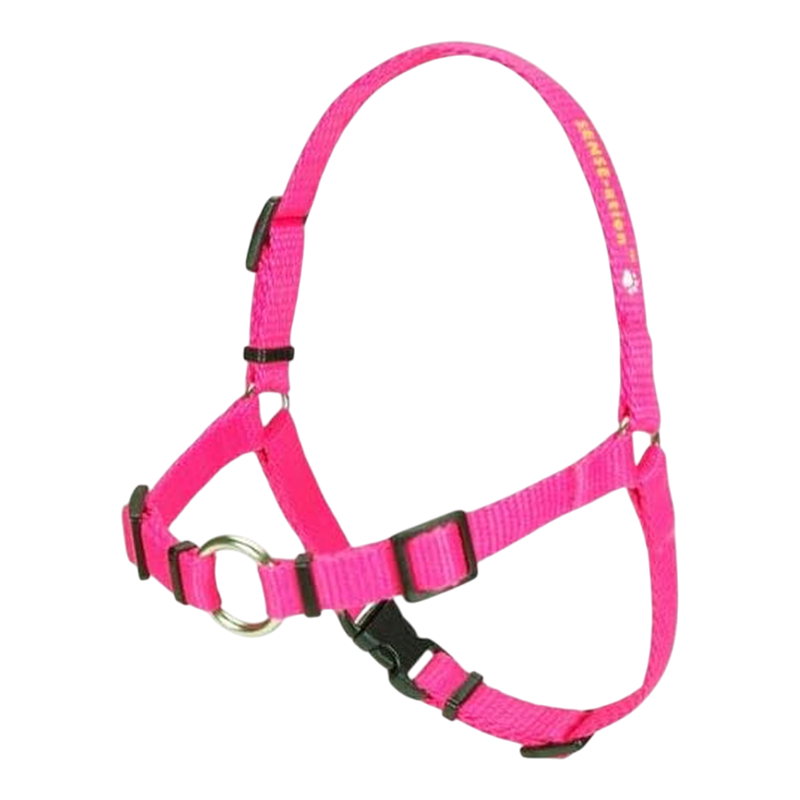 Pawtopix comfortable anti-pull dog harness, Padded