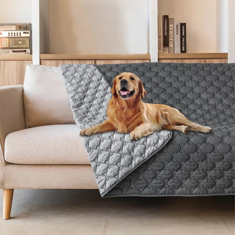 How to Choose Comfortable Beds and Mats for Your Pets