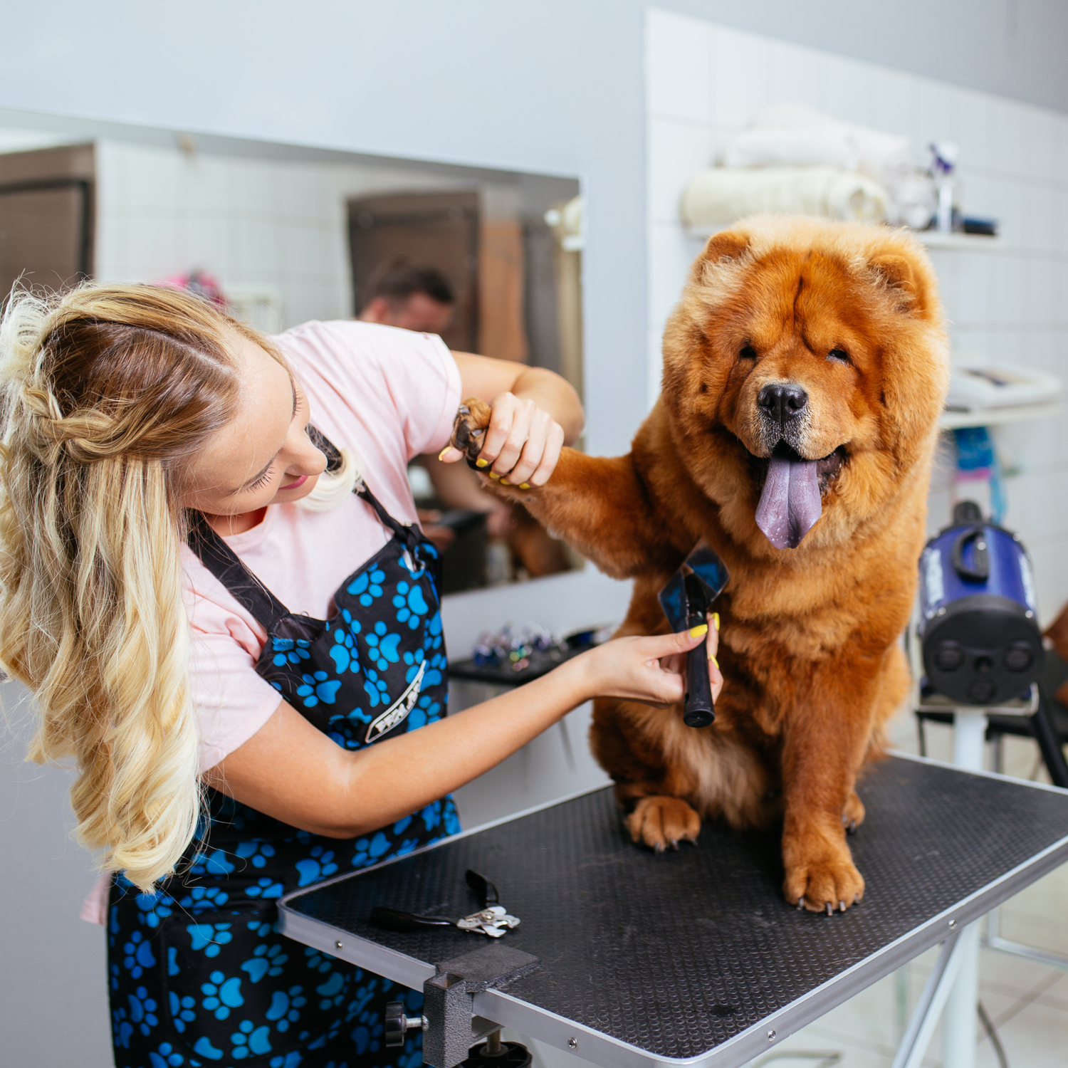 Essential Tips for Pet Care