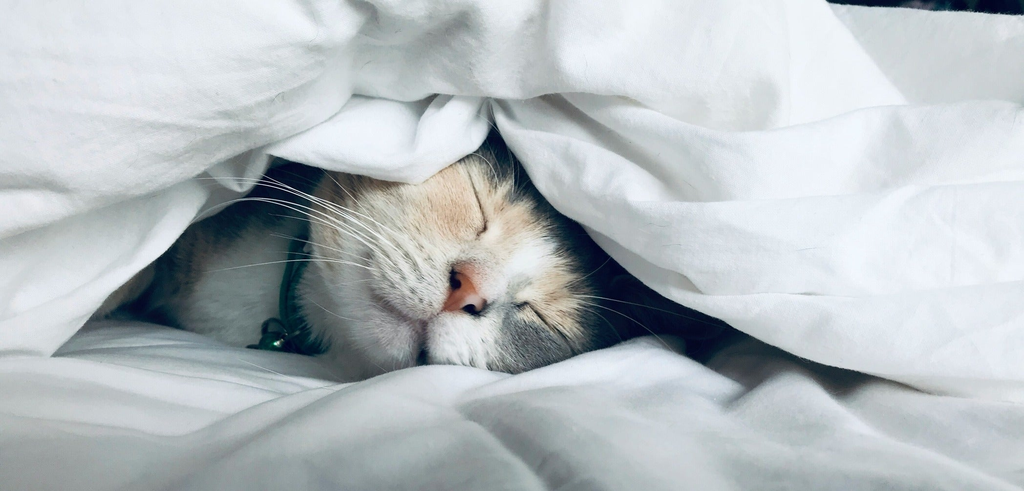 comfort banner