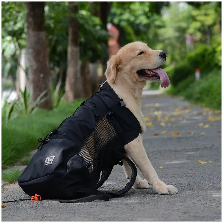 Sac de transport respirant pour animaux de compagnie