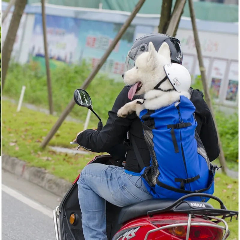 Sac de transport respirant pour animaux de compagnie