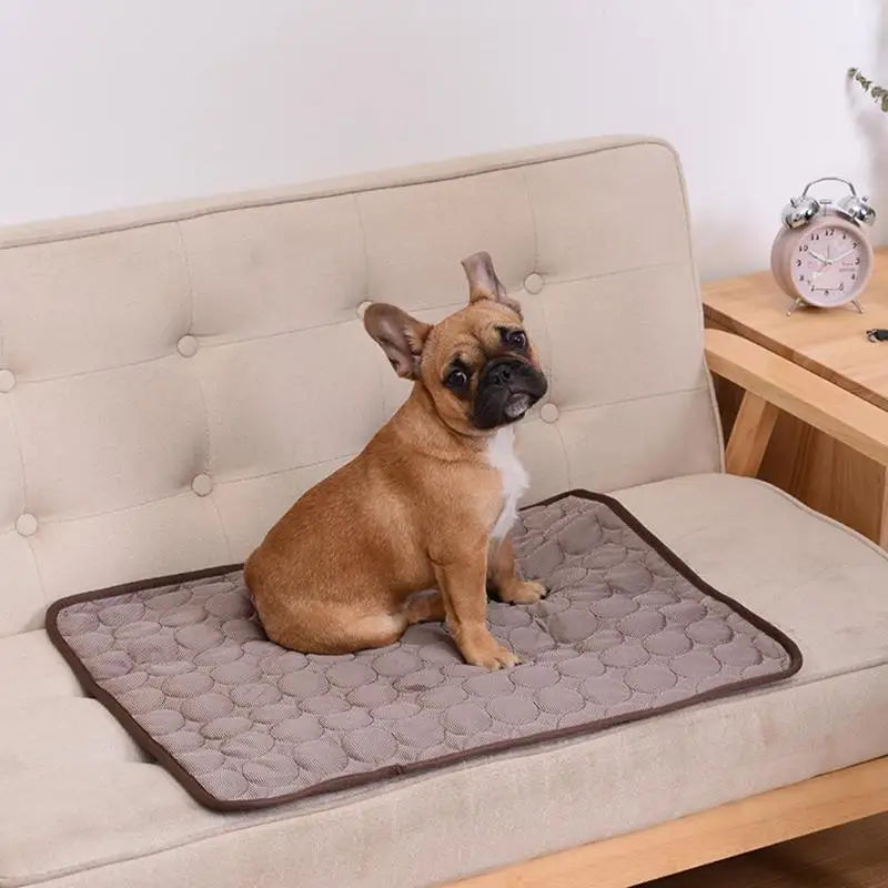 Tapis d'été rafraîchissant pour chien