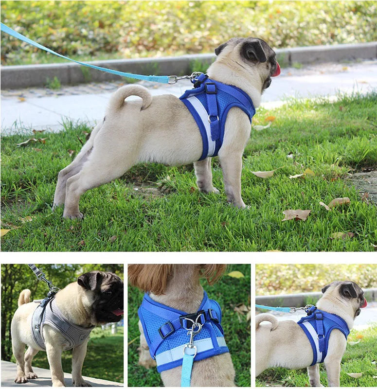 Safety Pet Harness Leash