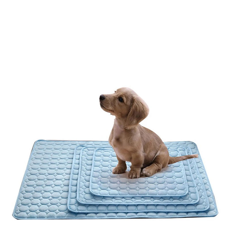 Tapis d'été rafraîchissant pour chien