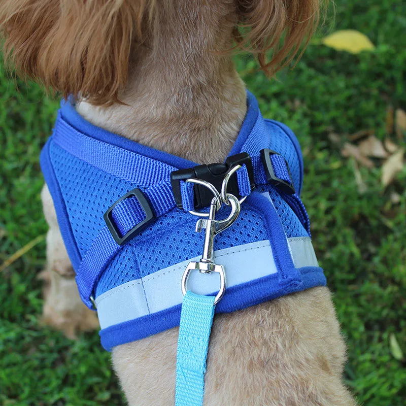 Safety Pet Harness Leash