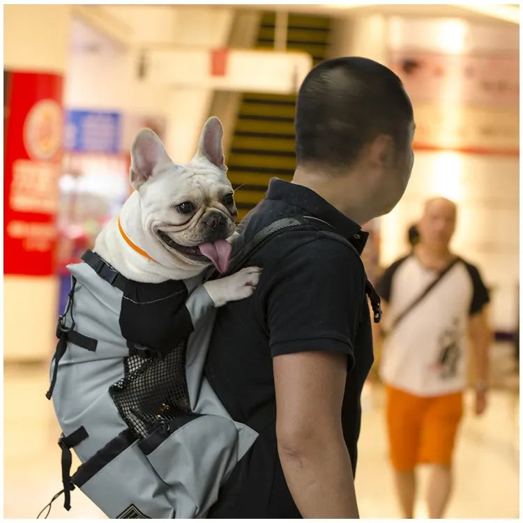 Sac de transport respirant pour animaux de compagnie