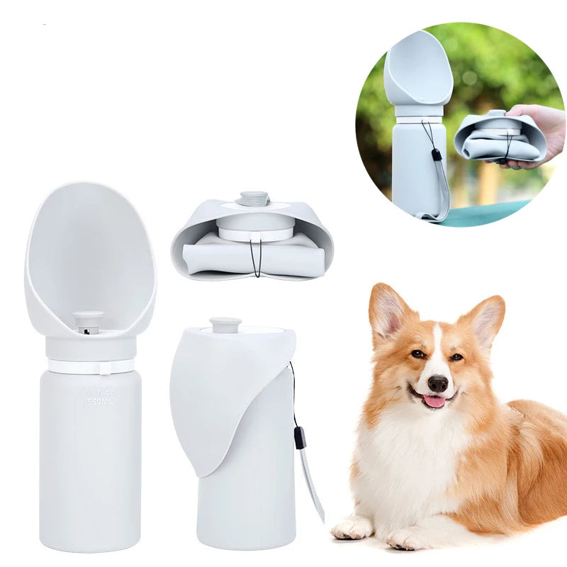 Bouteille d'eau portable pour animaux de compagnie