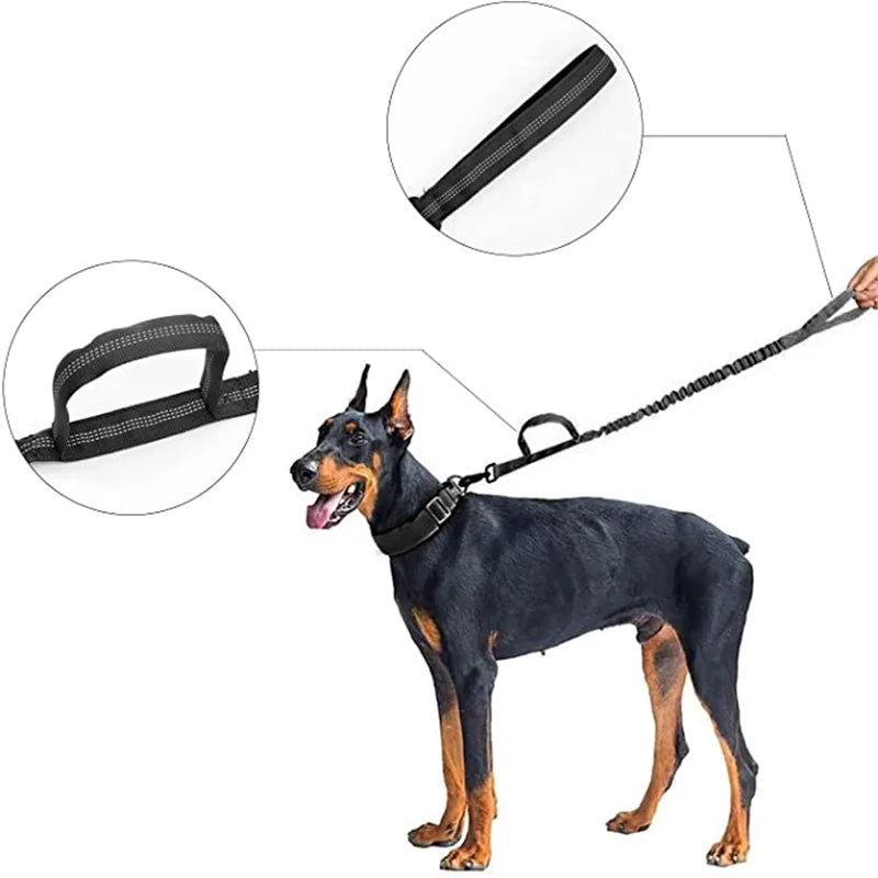 Military-Grade Dog Leash