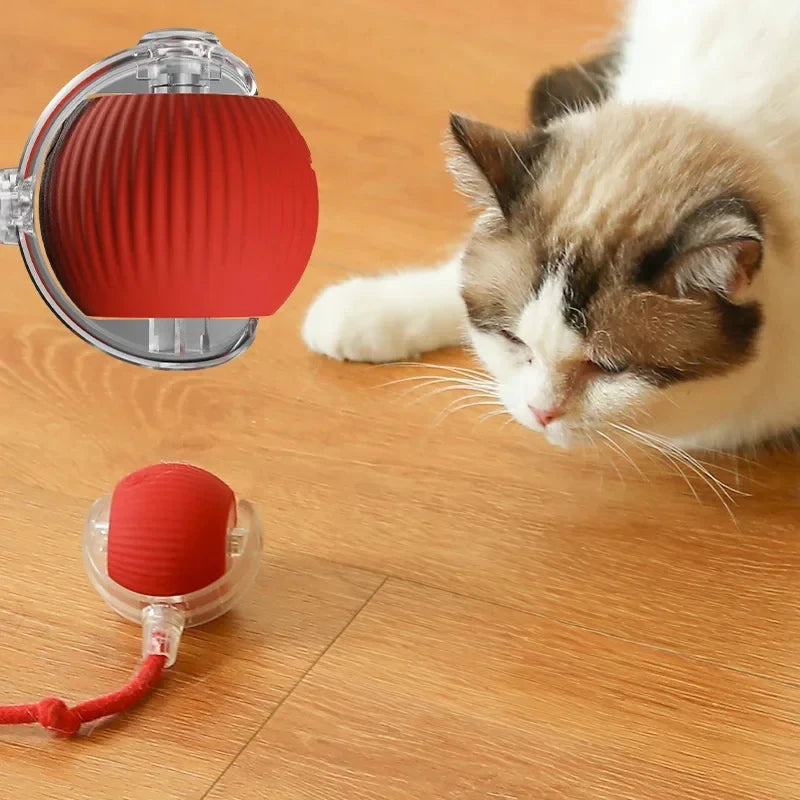 Balle roulante interactive pour chat