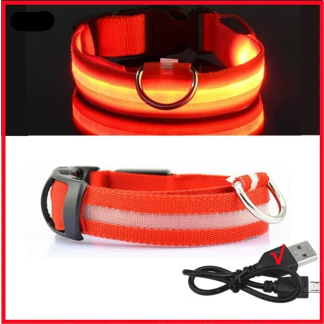 Collier pour chien avec LED clignotante