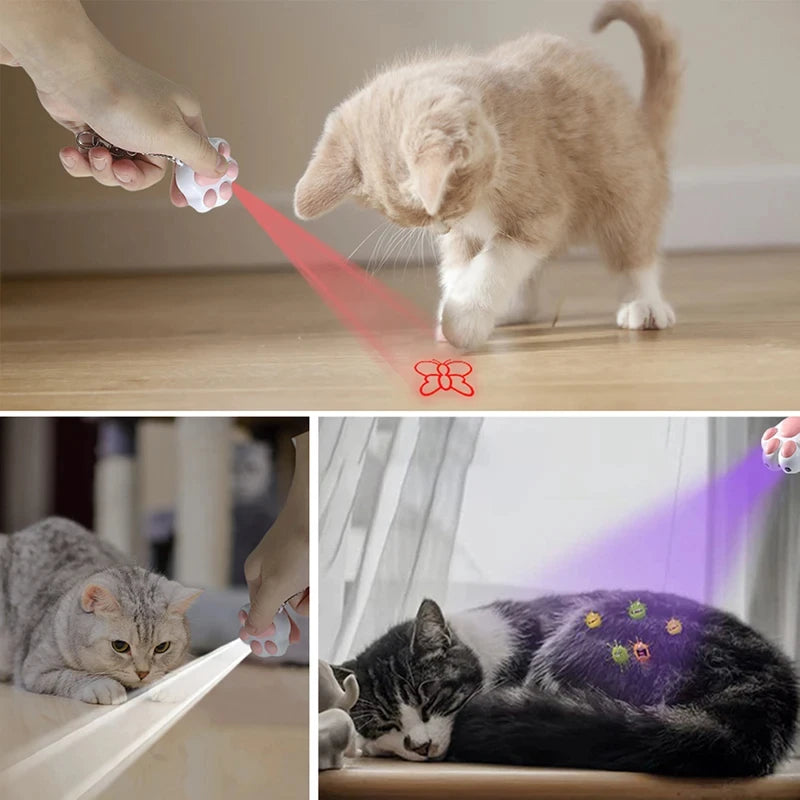 Funny Kitten Training Toy