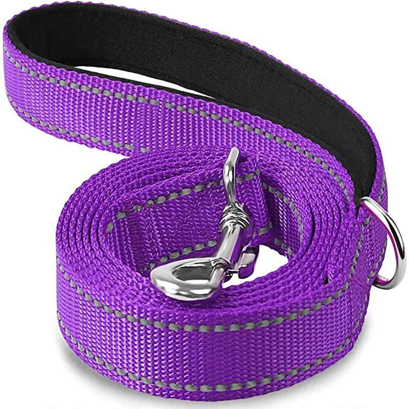 Reflective Pet Walking Leash - Pawtopix