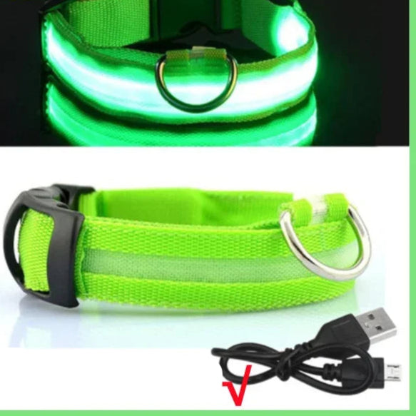 Collier pour chien avec LED clignotante