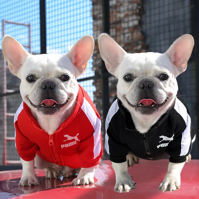 Veste d'hiver de baseball pour chien