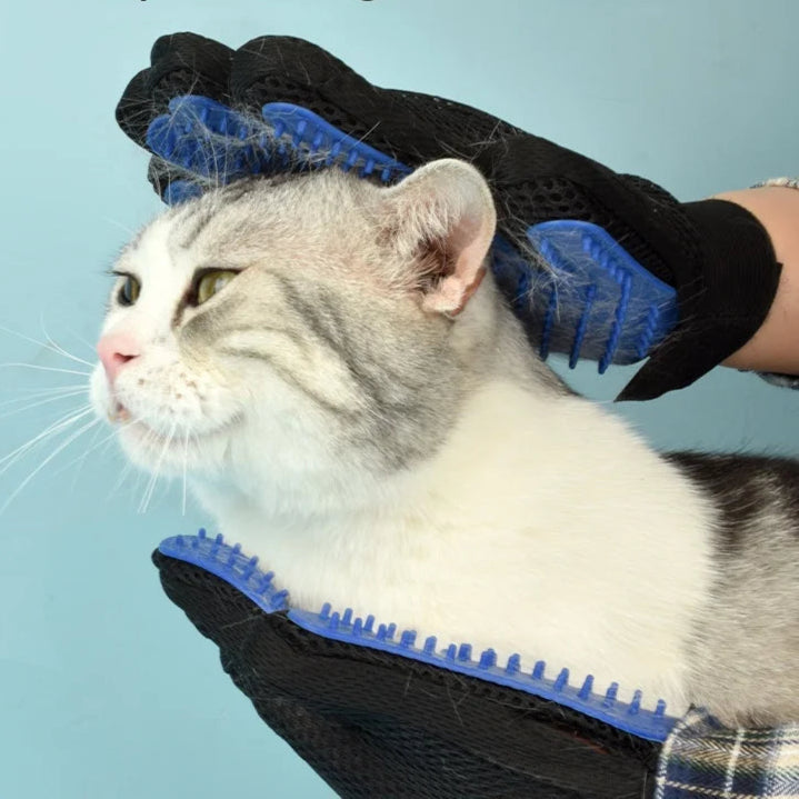 Shedding and Massage Glove