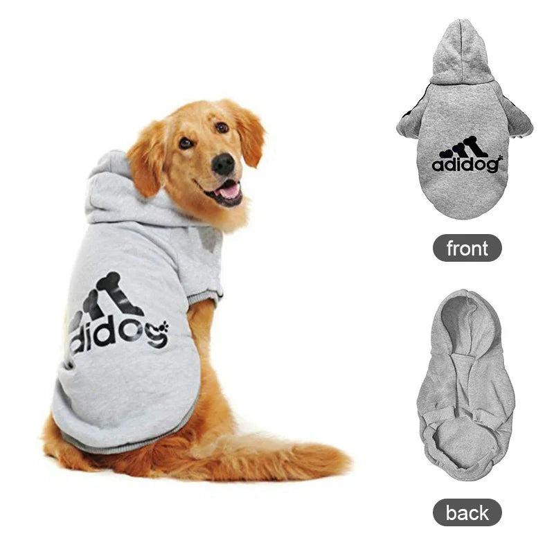 Pull douillet bouledogue français