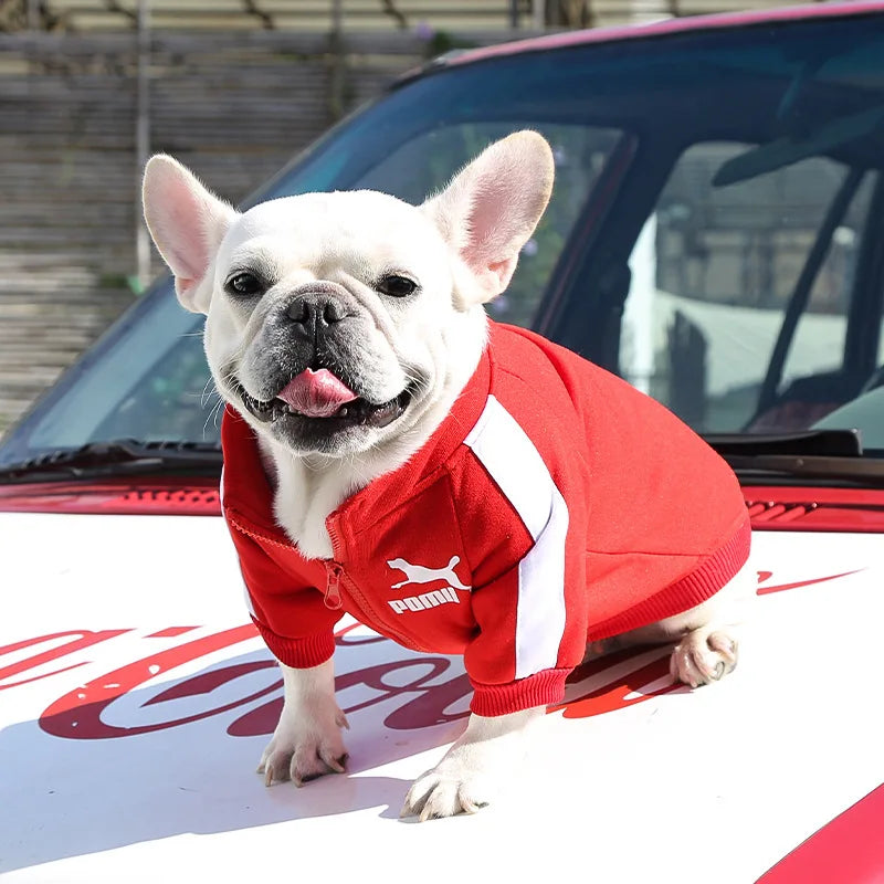 Veste d'hiver de baseball pour chien