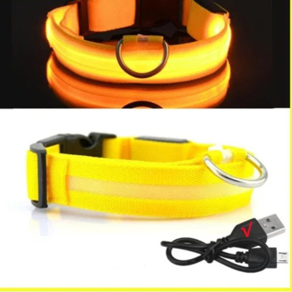 Collier pour chien avec LED clignotante