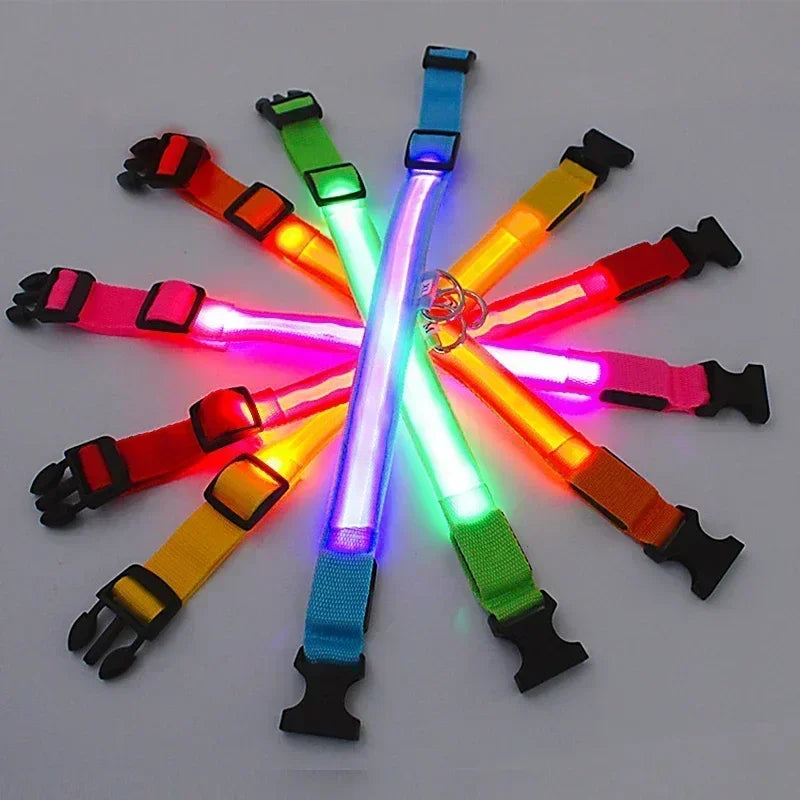 Blinkendes LED-Hundehalsband