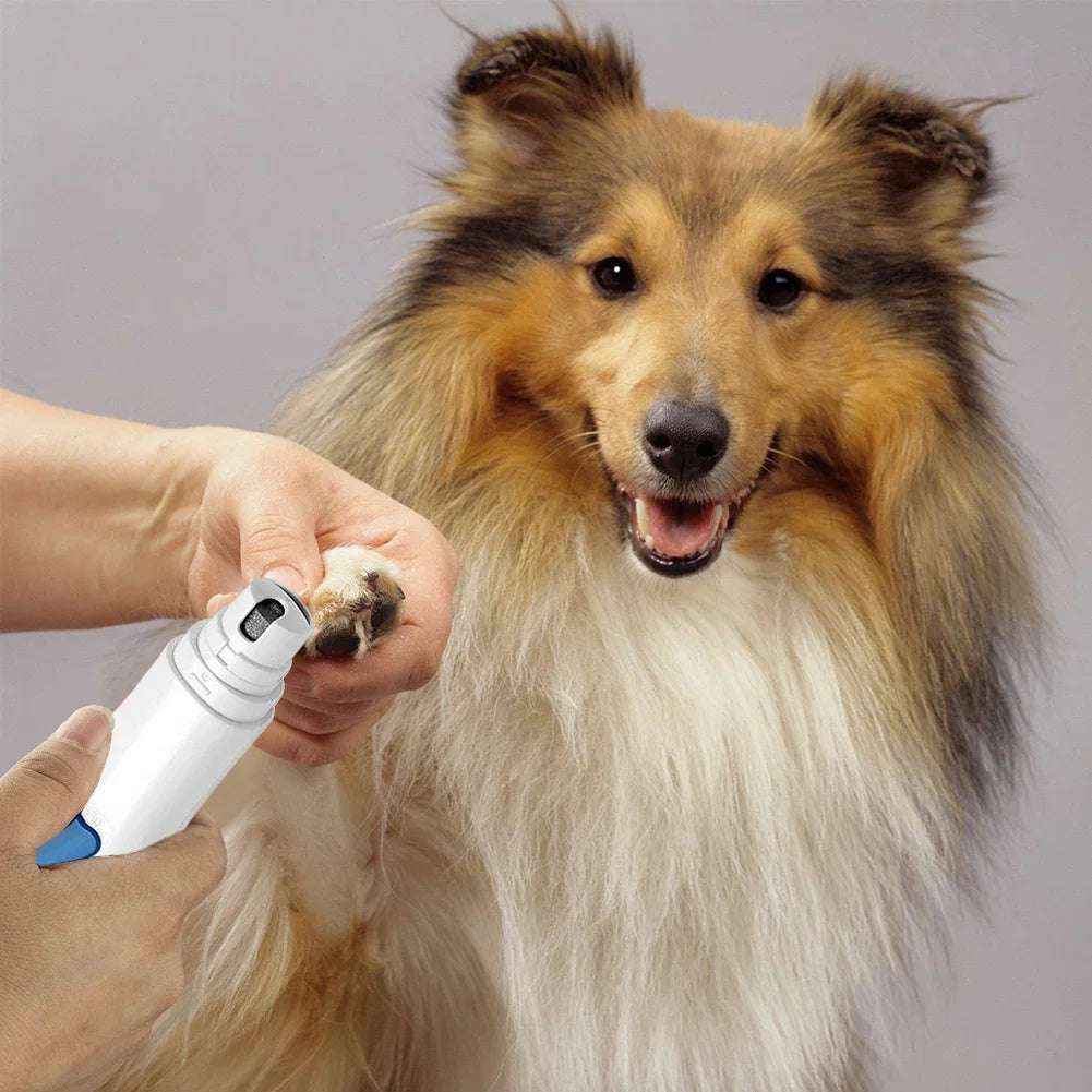 Electric Pet Nail Grinder for Safe and Easy Grooming