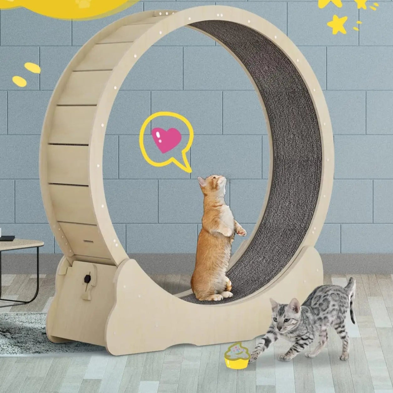 Roue de course silencieuse pour chat