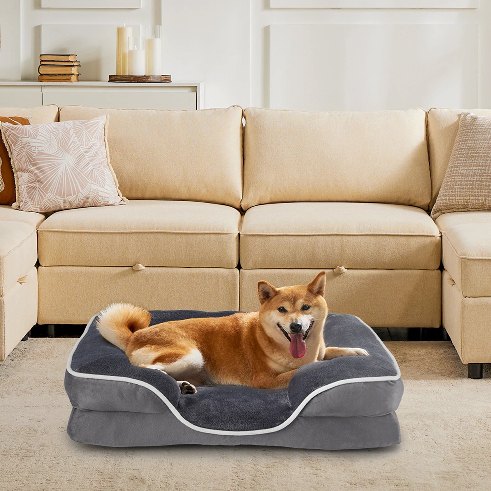 Memory Foam Dog Bed