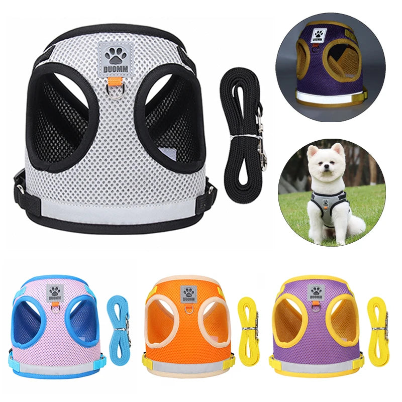 Safety Pet Harness Leash